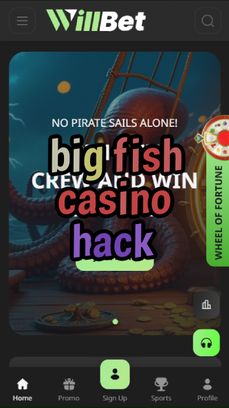 big fish casino hack-asdasdzhjkds.com