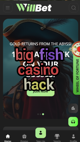 big fish casino hack-asdasdzhjkds.com